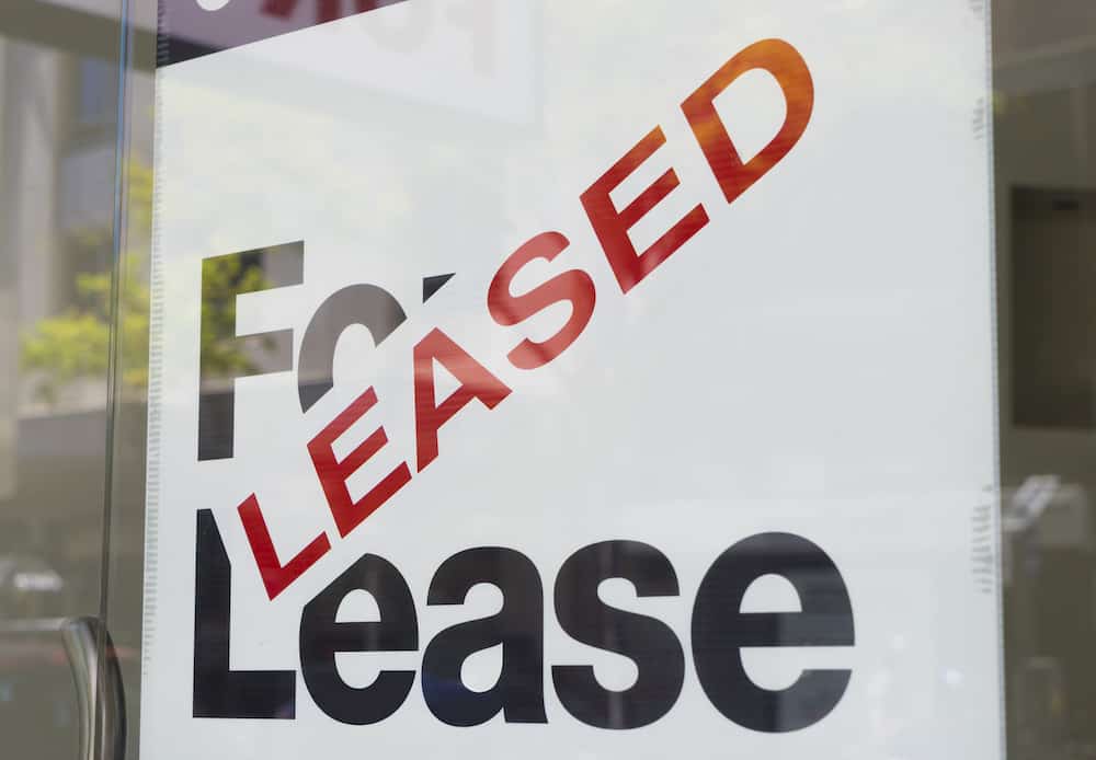 Different Commercial Lease Options For Business Owners - I Alpha Real ...